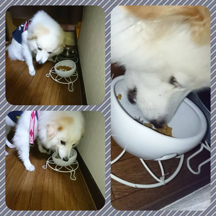 B5f1adf6 3e47 4137 8f31 b7d57501aae9