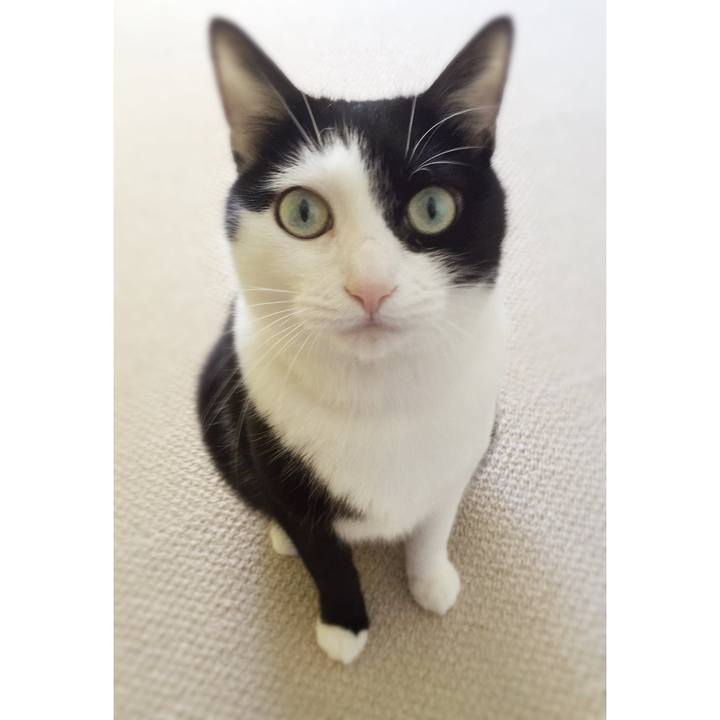 B5f22b46 a318 4f39 bdc7 3b0da945d601