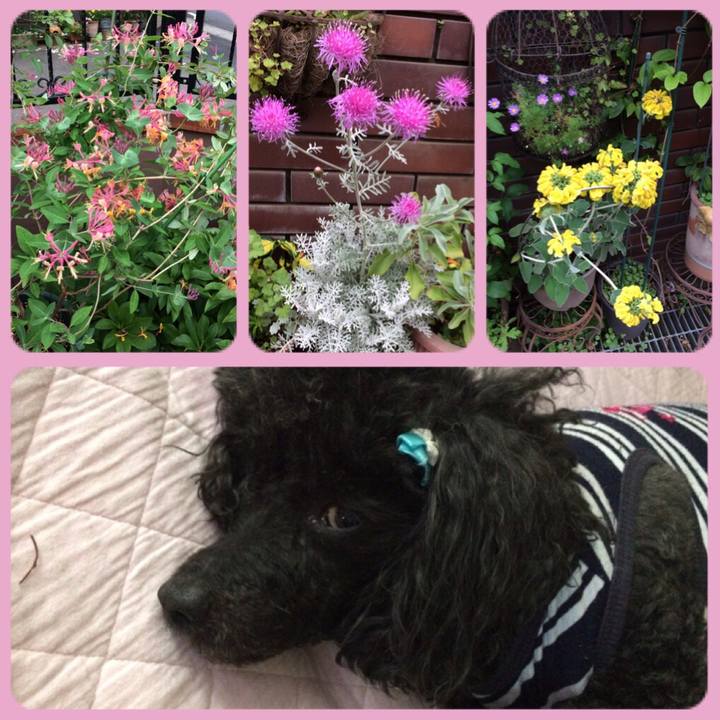 B5f34832 c4fd 4678 a2a3 841c91342029