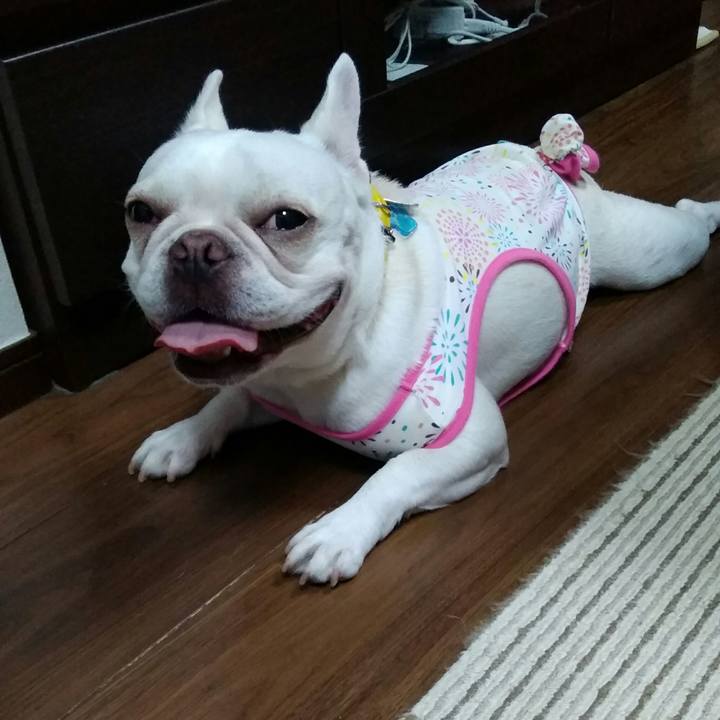 B5f39c44 419c 4d2e 9dcb 7758875b96c4