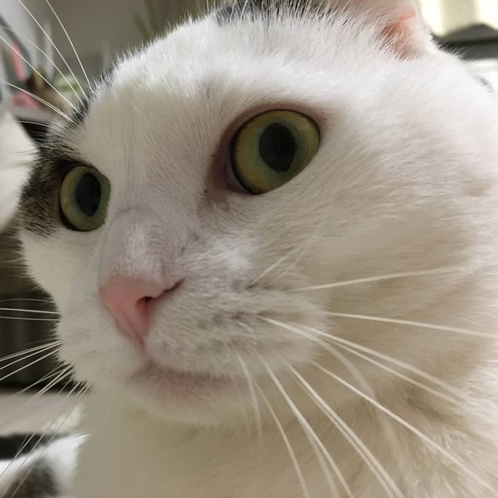 B5f3ef93 0cd1 4c88 b8fc 931e7d793fa3