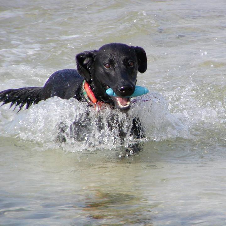 B5f40ee7 c789 4a9c aac0 6f0e56b76bd1