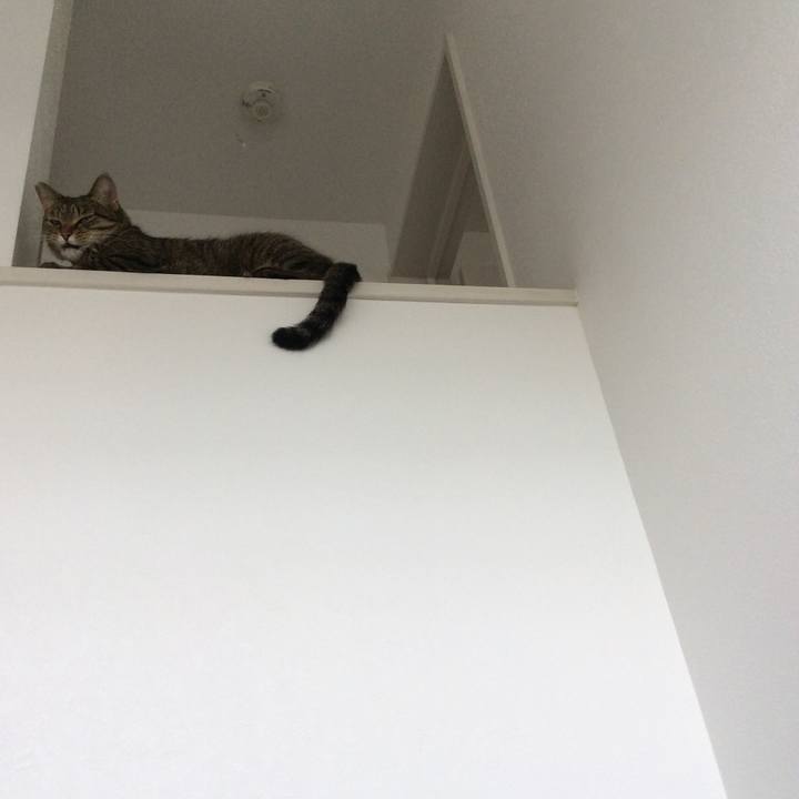 B5f4f4dc ce48 45da a36e 3b70bcef95ca