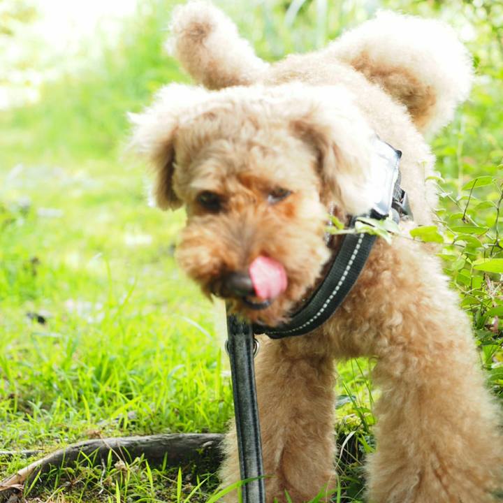 B5f55557 1a61 42b8 b994 2e6a7a869d26