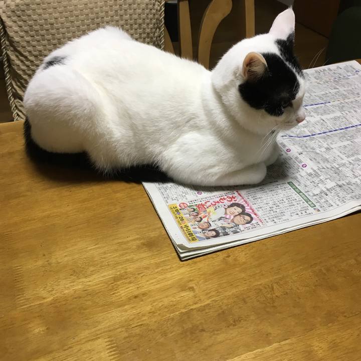 B5f58a91 ec0c 425c 90ec 7e336baa7bfa