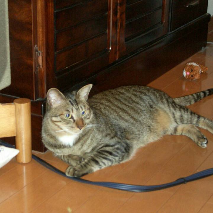 B5f5ac78 7efa 4637 9e10 b3d4af37bcc7