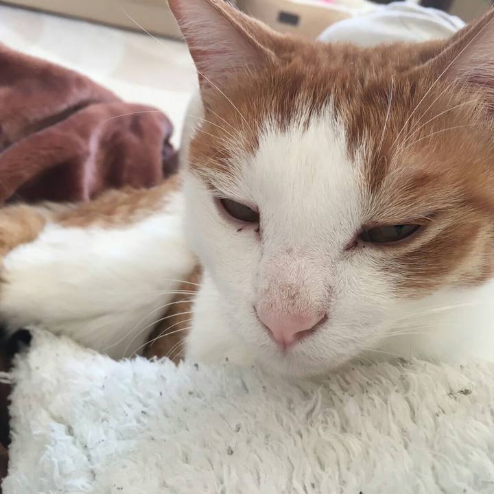 B5f62b1a ac6e 436f 9f5e f1d8f76420ff