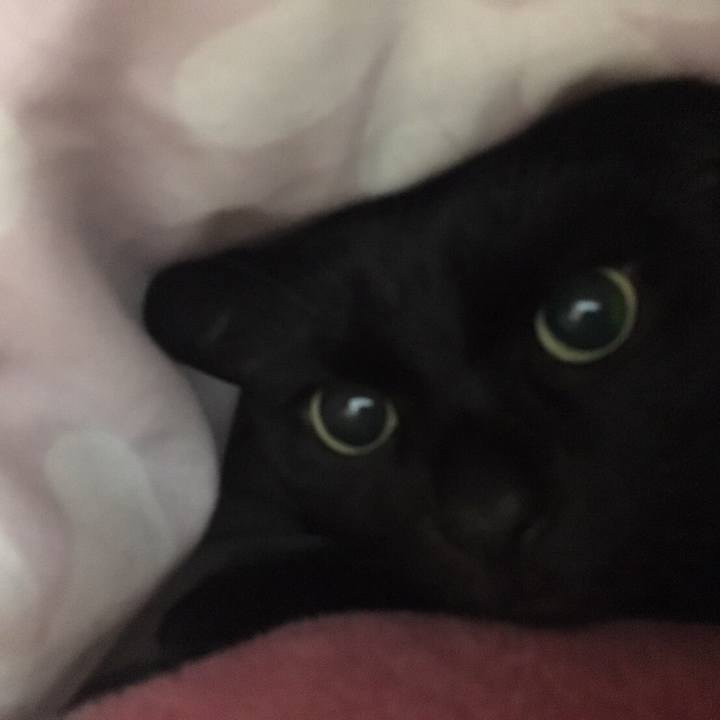 B5f65b16 5c4d 49bf a00a 7c1d619db37f