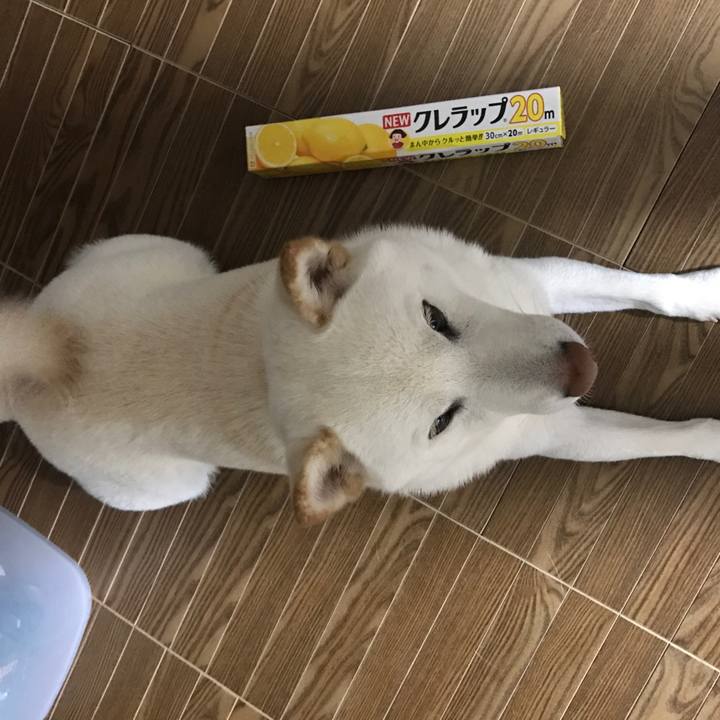 B5f75390 4b47 4633 999e fd3fbef26d5f