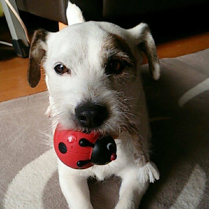 B5f78b66 24c2 42eb 9ccc c08cdbf1bed6