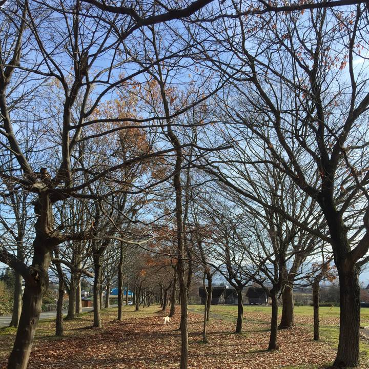 B5f7ac98 771f 4291 ad27 b42dfc2b2dce