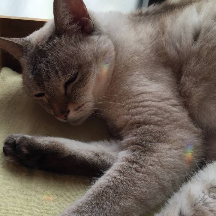 B5f7afc0 906b 43dd 8e07 0ea8eee97b07