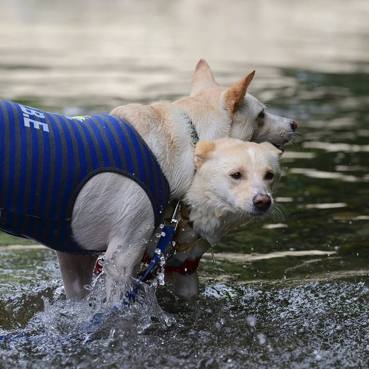 B5f7f849 0443 43ca b2b9 8ce380c5a466