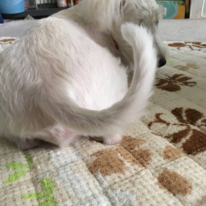 B5f807d5 c9c0 431a 9b26 5be8156fbac6