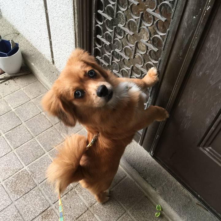 B5f820c2 b804 4c10 a09f c7409ccd6bb9