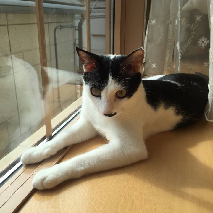 B5f84894 1300 4b7b bb12 98fb5645766b