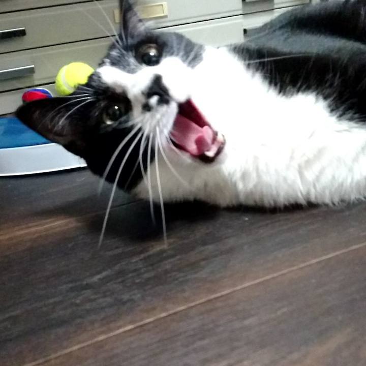 B5f88d0a 873b 4c68 9dc8 72643a3bfc60