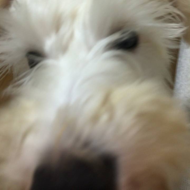 B5f8a931 9741 4233 9c6f 5536f04e12bc