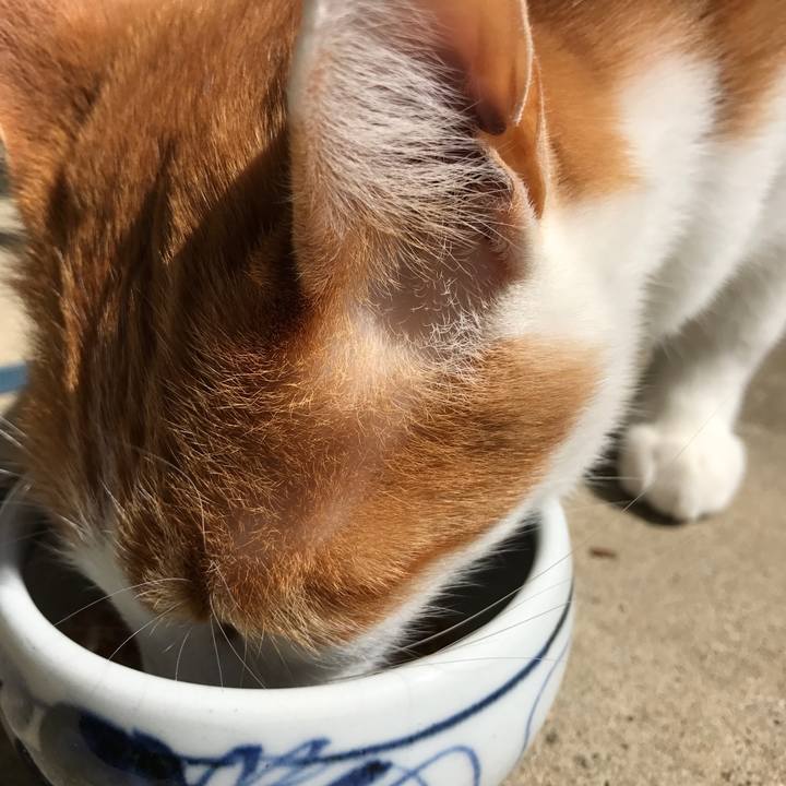 B5f8d1c3 8584 45fd 997a 4191abf4ae49