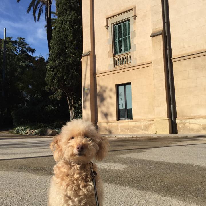 B5f9d121 13bb 4b5e 8738 e25f28b795d7