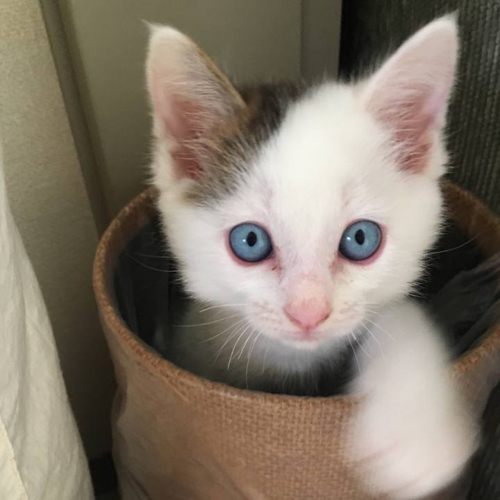 B5f9dd5f d82b 410a a415 28b39822e9d5