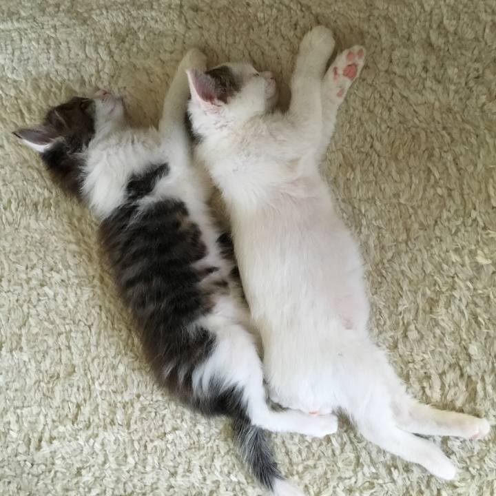 B5fa3df1 e6e3 413a a3a6 34949da37907