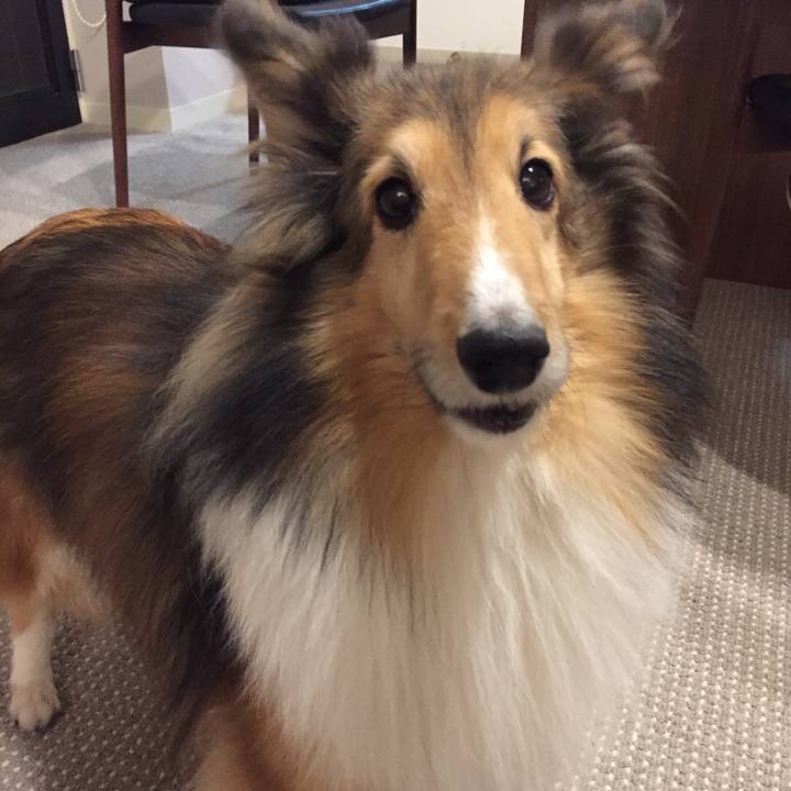 B5fa590e 4b6a 435d 8f97 fd309d6d75b3