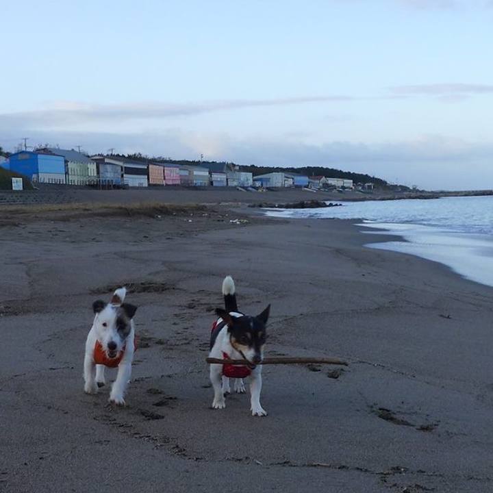 B5fa6925 c013 45d5 bfc0 f04ed72e2ead