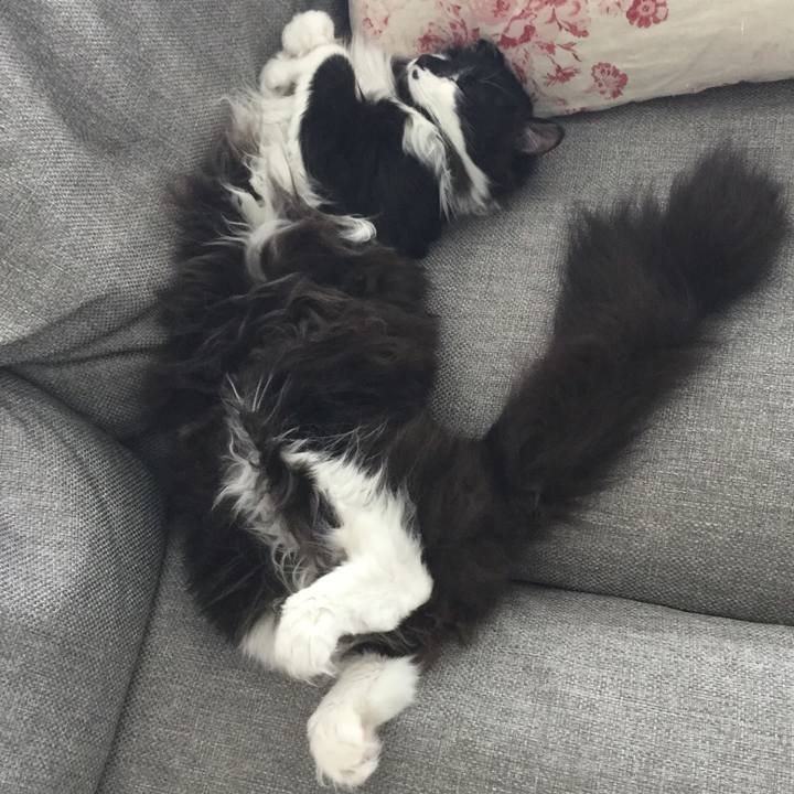 B5faa90c 18c8 49f7 b28c 97687010c5f5