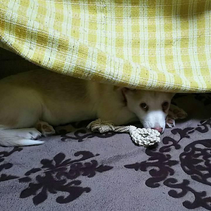 B5fc9281 b9de 4363 8e00 fa5be3d01f95