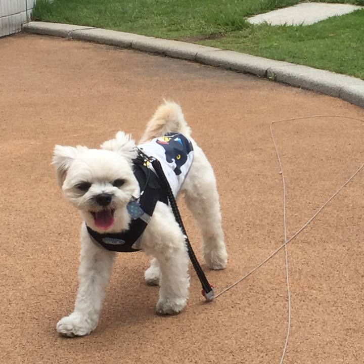 B5fd8854 1a60 40a8 b3a1 86bcd529fa5d