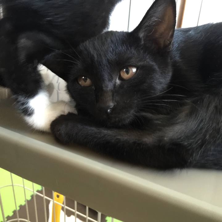 B5fdd72a 7126 439a b705 4356233bb26e