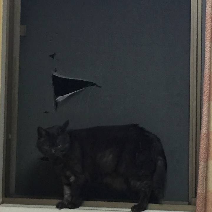 B5fe9577 ea89 4306 9238 279fd591c2ef