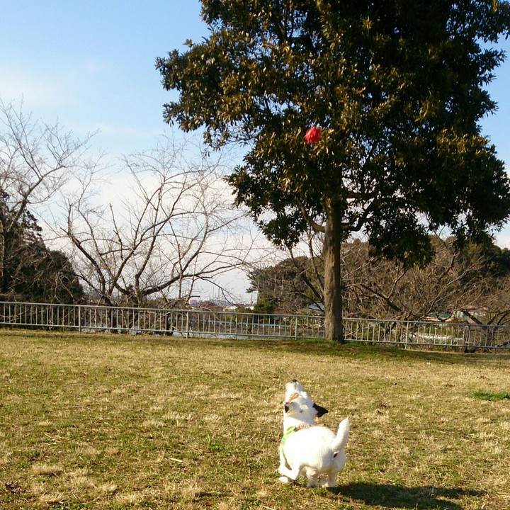 B5fec692 ab7f 4b58 80bf 5ae48a8eed4c