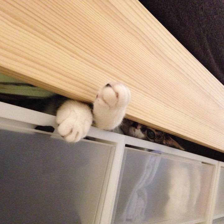 B5fec7dc b8a1 465d b8a8 a2de6902cae7