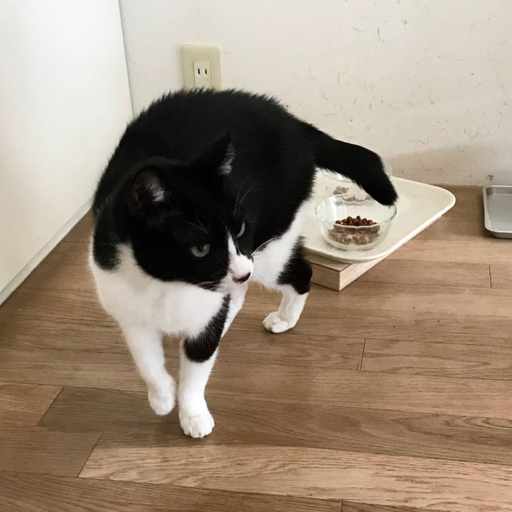 B5ff4d2f 0643 42e8 93da 2a86b5b46eaa