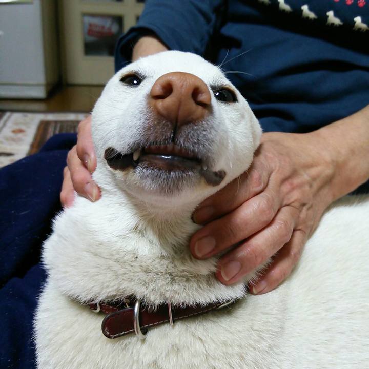 B5ff7bcc 70a0 41ae a547 f65f5649eafb