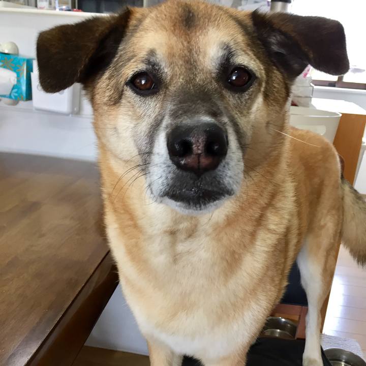 B5ffe39a 6221 4541 be70 afb49f13de80