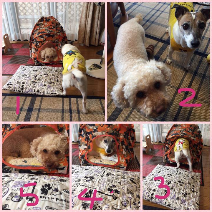 B6001955 3574 40e7 ab36 efd3e36cdf29