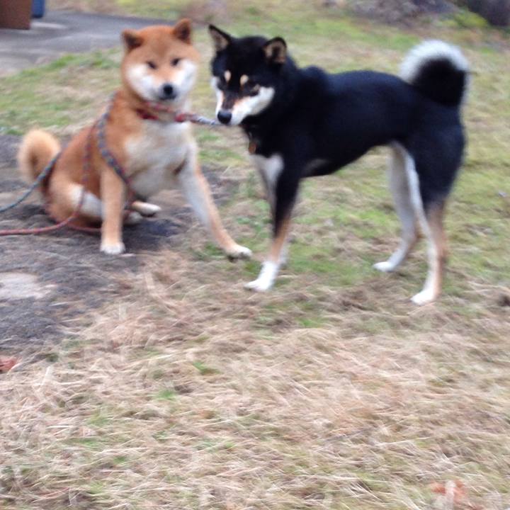 B6004cb3 e626 4de2 9c4b be714796b859