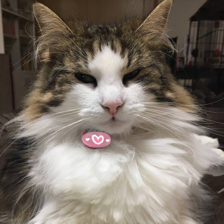 B600cb5c e6f2 447a 9c56 0563a2d1a98d