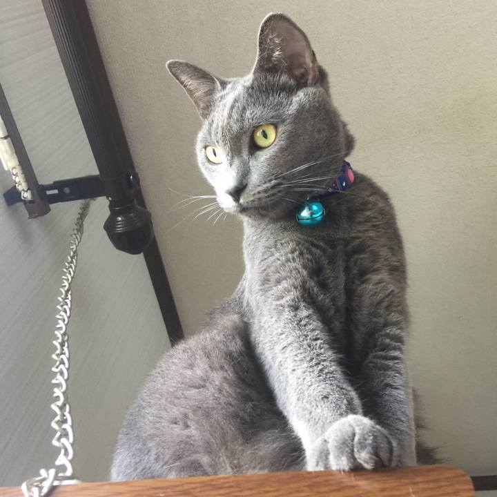 B6019488 2169 4457 999f d35607f734e4