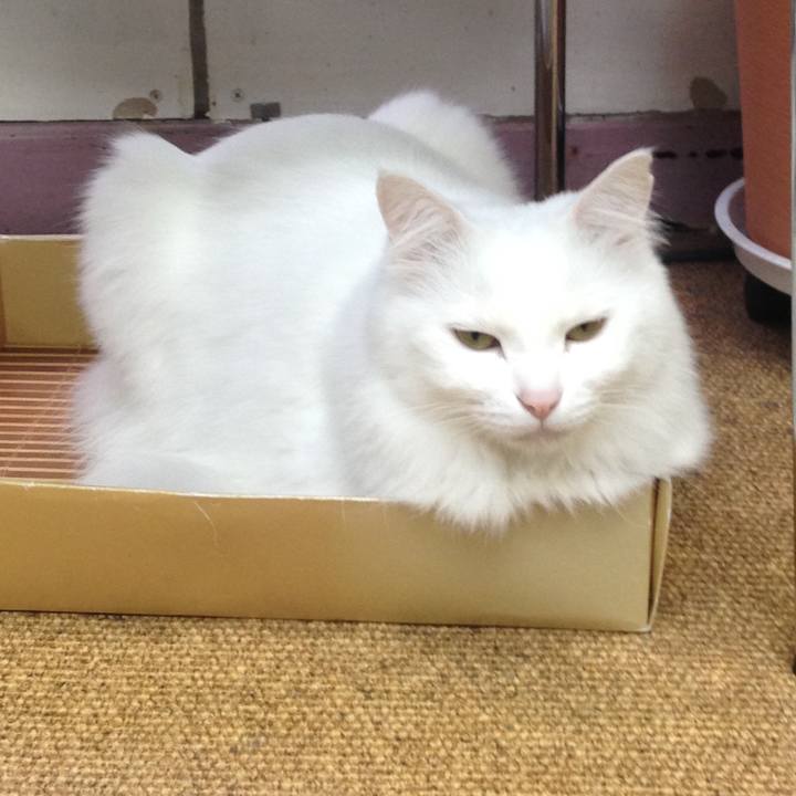 B6019c29 e796 4e83 93ac 5638b6a927b0