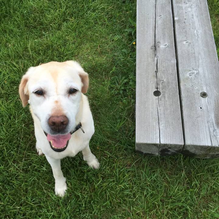 B601ddb5 b071 47f0 ab8a bf7f68f5b663