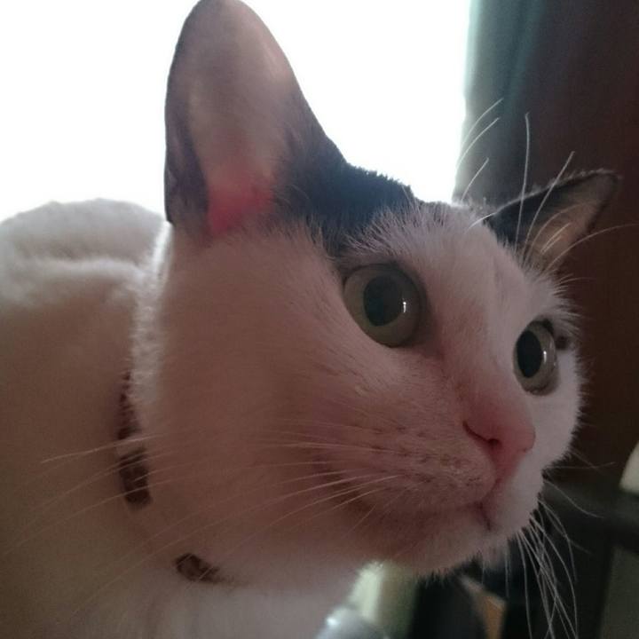 B602ea1f a59d 4a21 9a97 15bd88fbe9bd