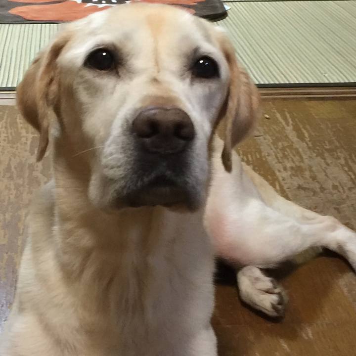 B603523e e2eb 4196 9c81 bd6e4bdf17ae