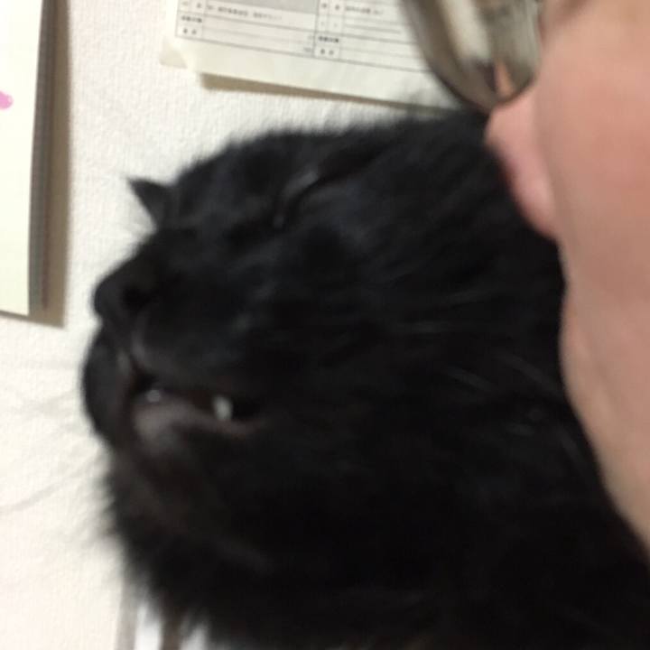 B6037969 5a93 43ab 8af2 b133b88ec4d5