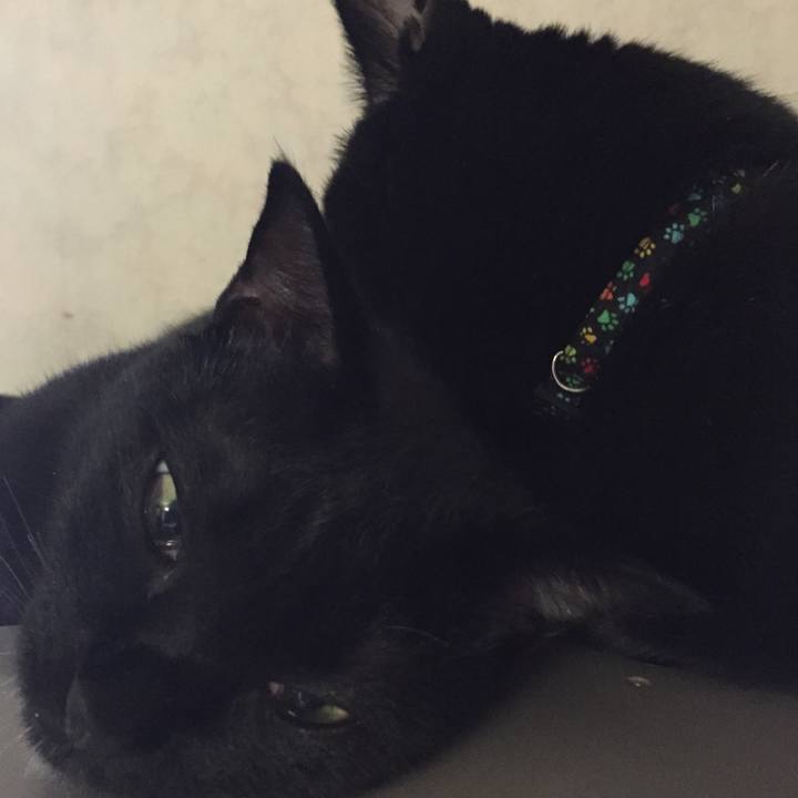 B603b7a4 64b8 440c 8445 6e37df9bfe33