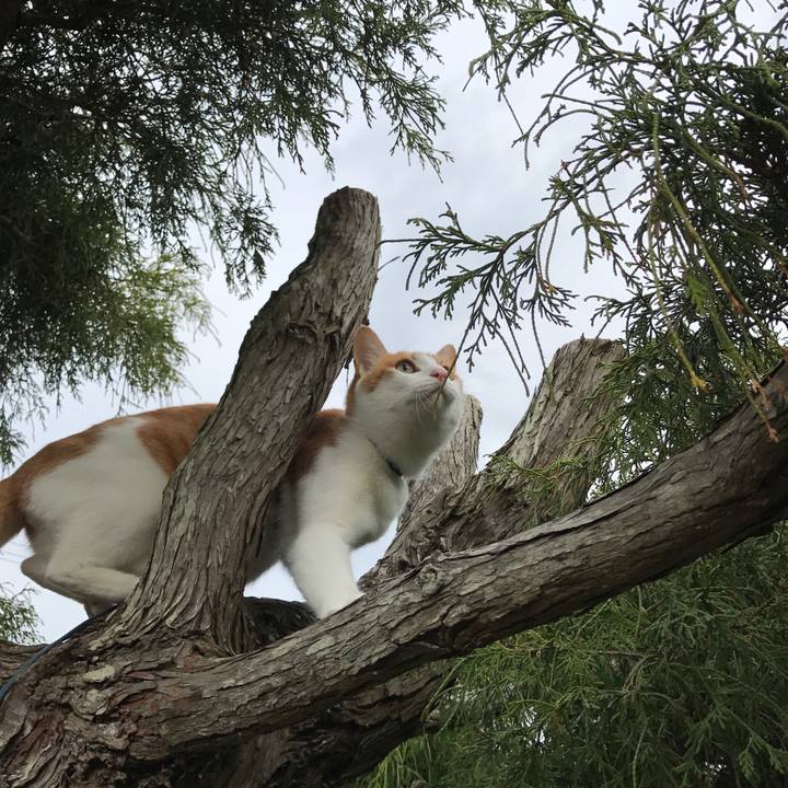 B603c729 8101 442f 867e 8d45f6998ec3