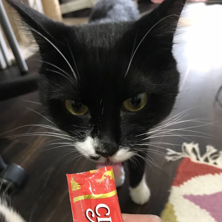 B60469bb d43e 40ea b1d3 76266fb81a85